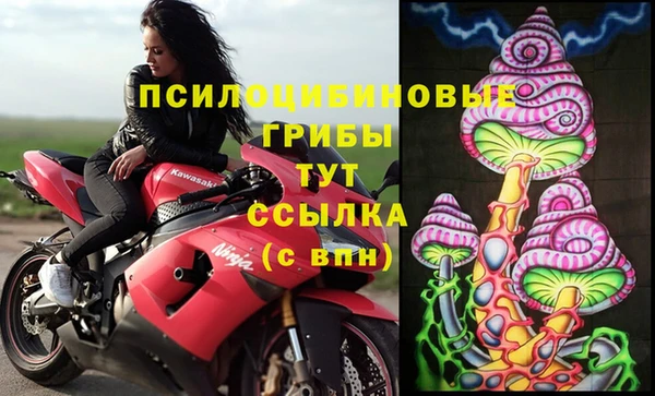 МДМА Елизово