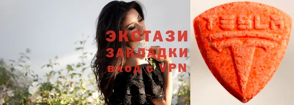 крисы Ельня