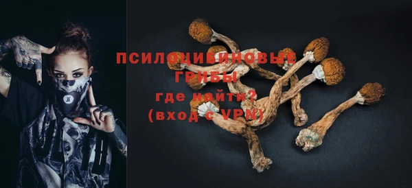 МДМА Елизово