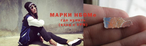 крисы Ельня