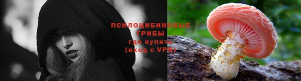 МДМА Елизово