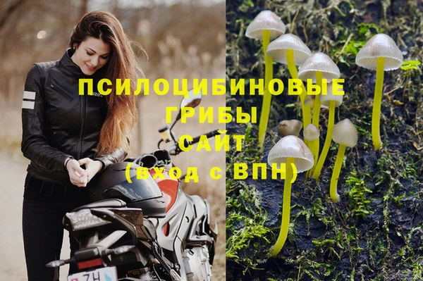 дурь Елабуга