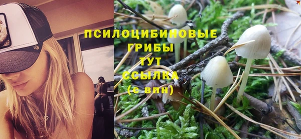 дурь Елабуга