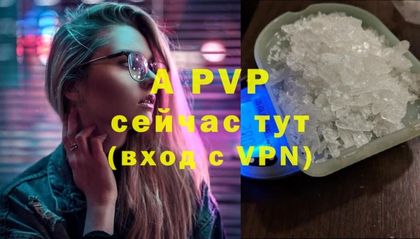 крисы Ельня