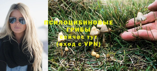 дурь Елабуга