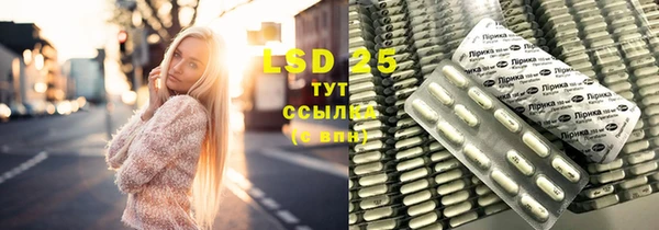 крисы Ельня