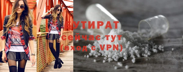 крисы Ельня