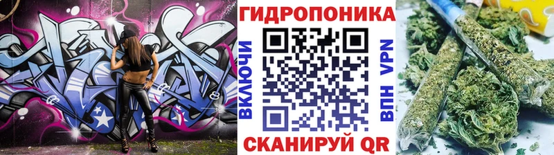KRAKEN зеркало  Себеж  Шишки марихуана ГИДРОПОН 